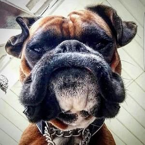 Meet your Posher, Rick